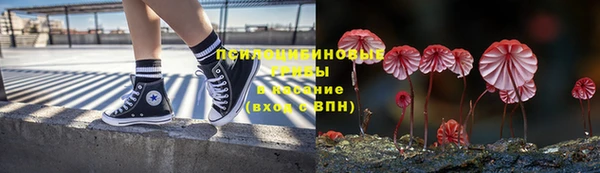 мяу мяу мука Аркадак