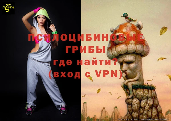 мяу мяу мука Аркадак