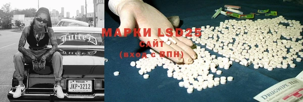 мяу мяу мука Аркадак