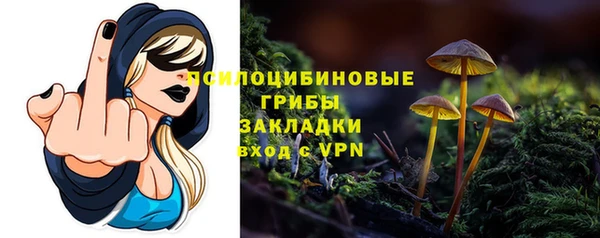 спиды Арсеньев