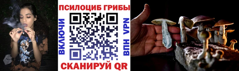 Псилоцибиновые грибы Psilocybine cubensis  Безенчук 